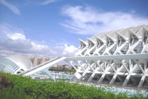 JUNTO A LA CIUDAD DE LAS ARTES Y LAS CIENCIAS — photo 9