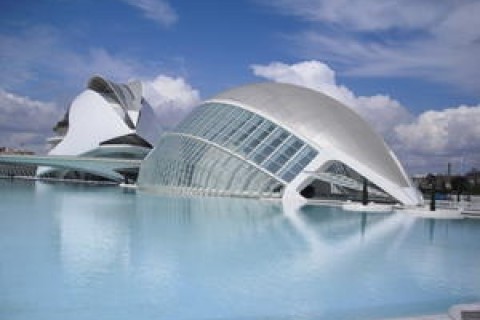 JUNTO A LA CIUDAD DE LAS ARTES Y LAS CIENCIAS — photo 10