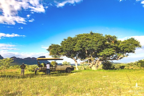 Safe &amp; Secluded Safari Haven — photo 34