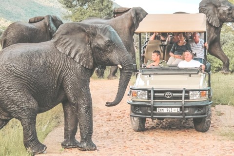 Safe &amp; Secluded Safari Haven — photo 36
