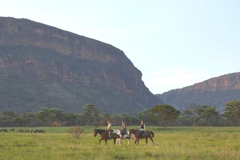 Safe &amp; Secluded Safari Haven — photo 37