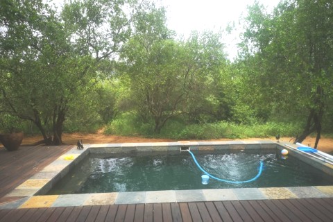 Magnifique villa au milieu des animaux — photo 6