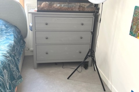 La maison de Sam — photo 11