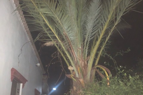 Chalet a 30 minutos de Sevilla — photo 7