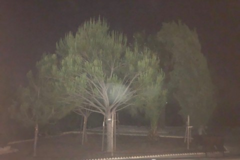 Chalet a 30 minutos de Sevilla — photo 9