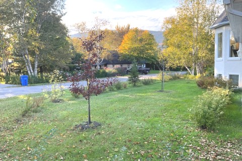 Maison dans Charlevoix — photo 6