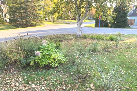 Maison dans Charlevoix — photo 7