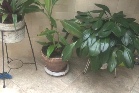 casa en Cali   Colombia — photo 10