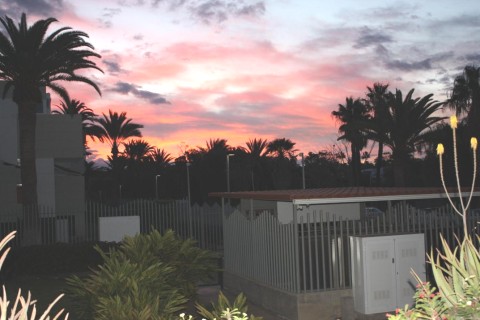 Appartamento con vista giardino in Costa del Silencio Tenerife Sud — photo 14