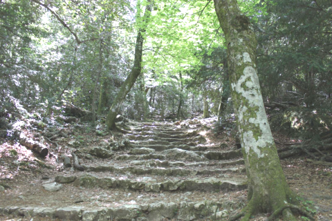 Maison La PIERRINA — photo 13