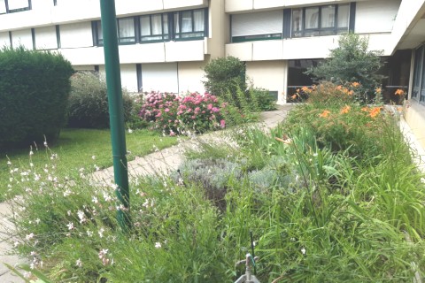 Appartement 3 pieces au cour de Paris — photo 5