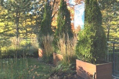 Grand appartement en face de Montréal — photo 21