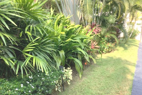 Belle villa calme et spacieuse — photo 8