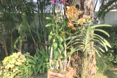 Belle villa calme et spacieuse — photo 10