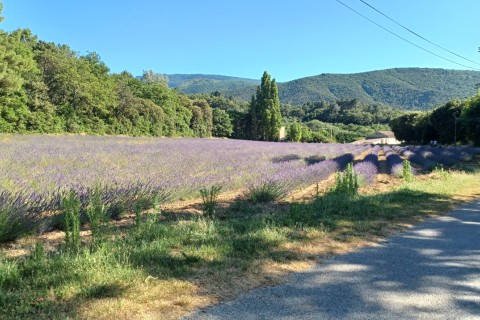 Maison de village au coeur d'un village provençal — photo 10