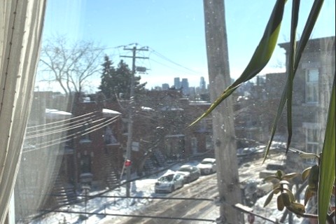 Appartement à Montréal et chalet au bord d'un lac — photo 7