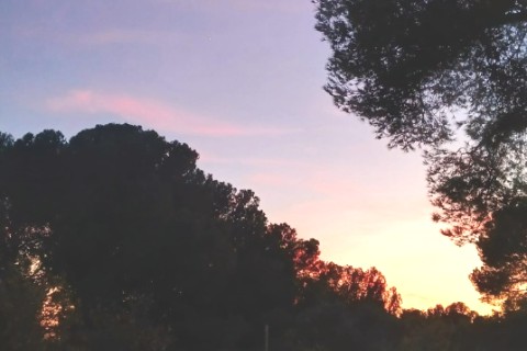 Apartamento junto al mar en la Costa Dorada (Tarragona) — photo 6