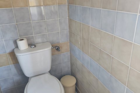 Gîte en Alsace  — photo 13