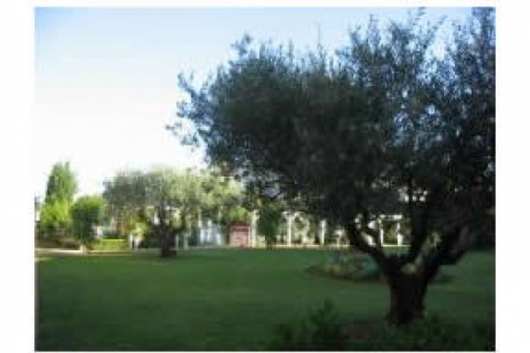 Appartement de charme en duplex au ... — photo 10