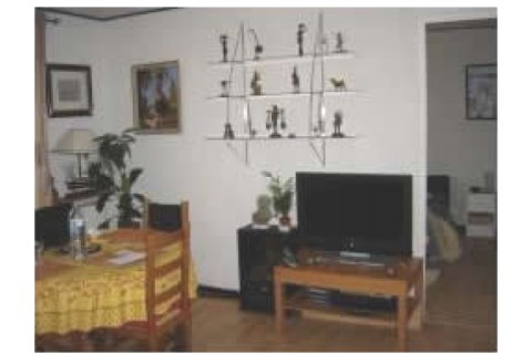 Appartement T3 de 65 m2 + une terra... — photo 4