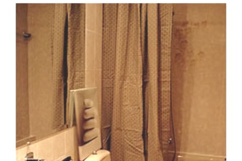This Apartment  is a cozy one bedro... — photo 12