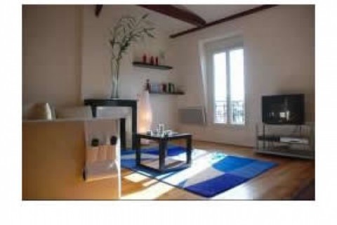 Loft sous les toits, Paris — photo 10