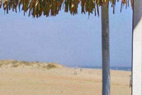 En la playa de La Antilla. Andando ... — photo 25