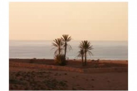 Maison au Maroc — photo 11