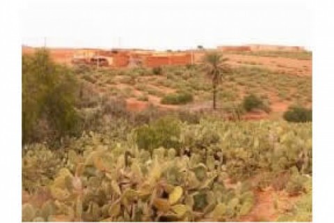 Maison au Maroc — photo 10