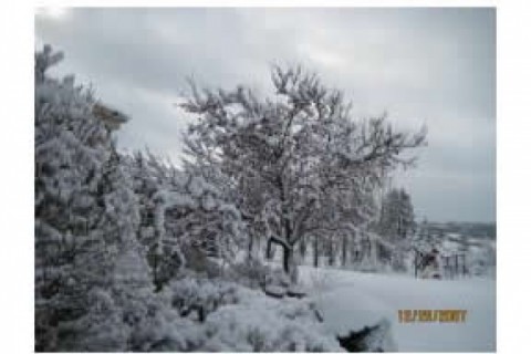 One acre 4 bedroom home, 2800 Sq. F... — photo 2