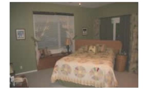 Home is located on 40+ acres in a g... — photo 5