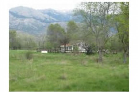 Vivo en una finca de 90.000 m2, en ... — photo 3