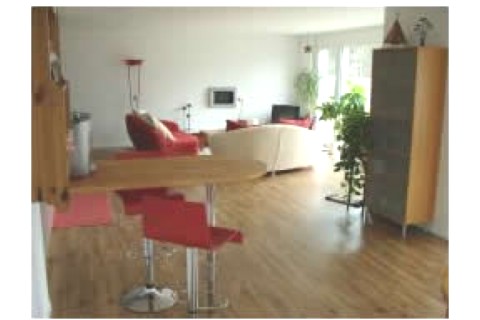 Appartement moderne avec chauffage Géo Thermique à 20 minutes de Bern — photo 5