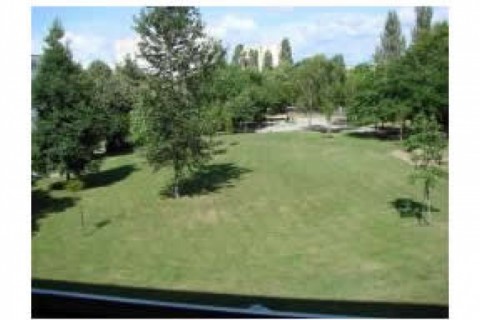 Un appartement confortable au 2eme ... — photo 5