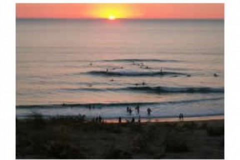 Adapté pour surfers, pour vous ou ... — photo 4