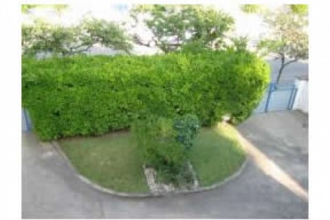 Notre maison a un jardin de 350 m2.... — photo 8