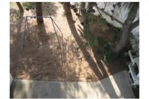 Notre maison a un jardin de 350 m2.... — photo 9