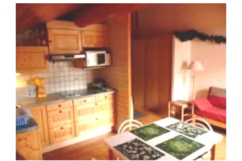 Studio coquet, ambiance chalet de m... — photo 6