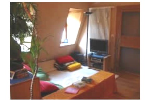 Gemütliche Zweiraumwohnung in Weim... — photo 11