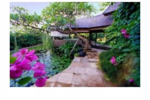 Nestled amongst the lush paddy fiel... — photo 9