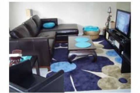 Appartement avec 2 chambre, salon, ... — photo 2