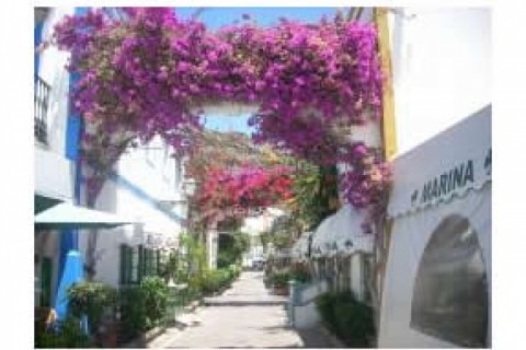 Puerto de Mogán, on the south-west... — photo 3
