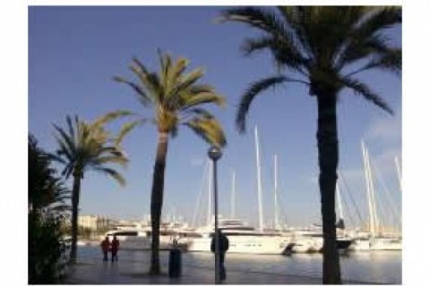 Apartamento en el centro de Palma d... — photo 8