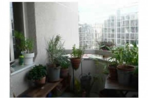 Appartement calme  de 61 m2 - Paris — photo 5