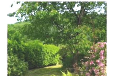 Petite maison plein pied de 80 m2  ... — photo 2