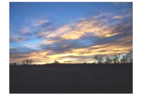 Large raised ranch, close to shoppi... — photo 2