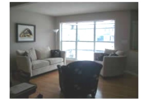 Our 2500 sq ft home is great for fa... — photo 7