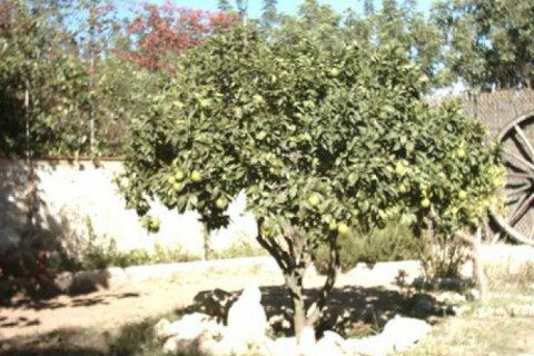 Casa rural cerca de Tarragona — photo 11
