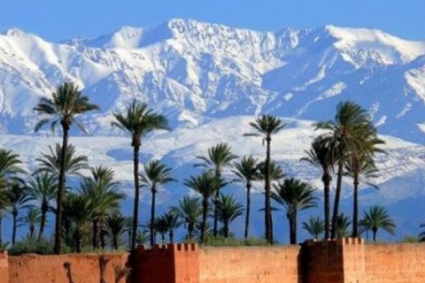 Appart  à Marrakech decoré style riad — photo 9