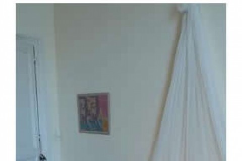 Appartement proche du jardin botanique — photo 14